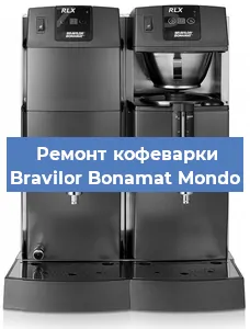 Чистка кофемашины Bravilor Bonamat Mondo от накипи в Нижнем Новгороде